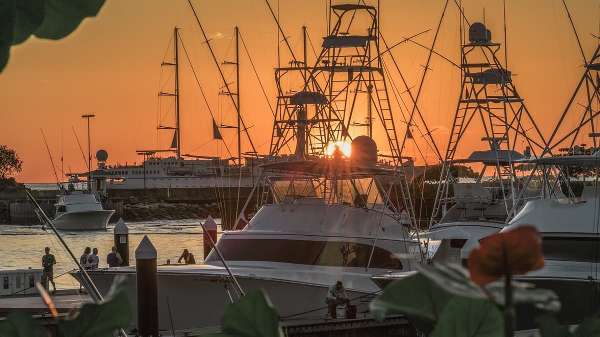 Sportfishing boats and yachts docked at sunset with a sailboat visible in the background