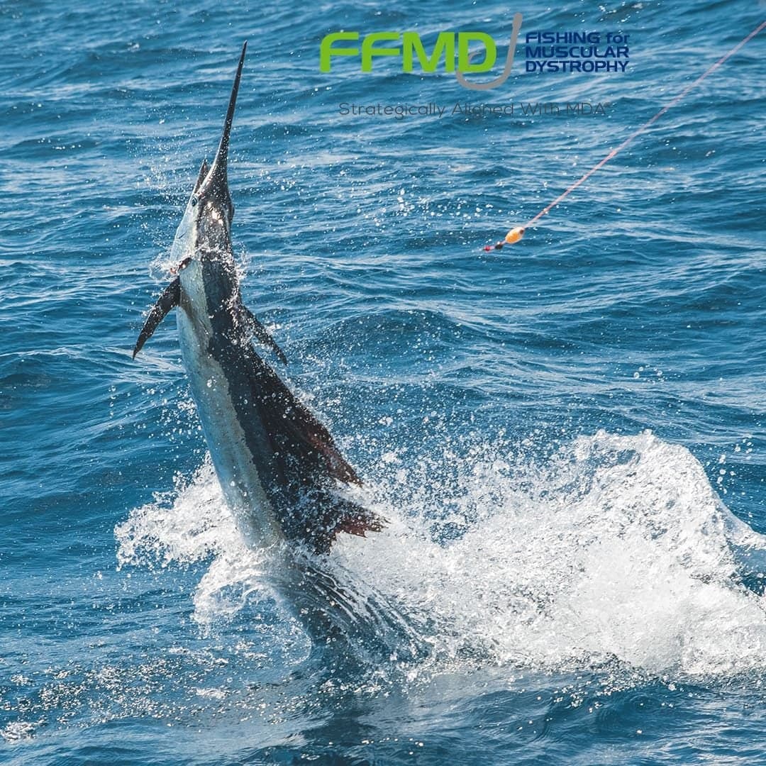 Dynamic image of a sailfish leaping out of the water with fishing line attached, set against a vibrant blue ocean
