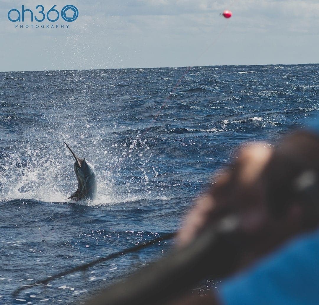 A sailfish leaping from the ocean during a sportfishing expedition with a fisherman holding a rod in the foreground