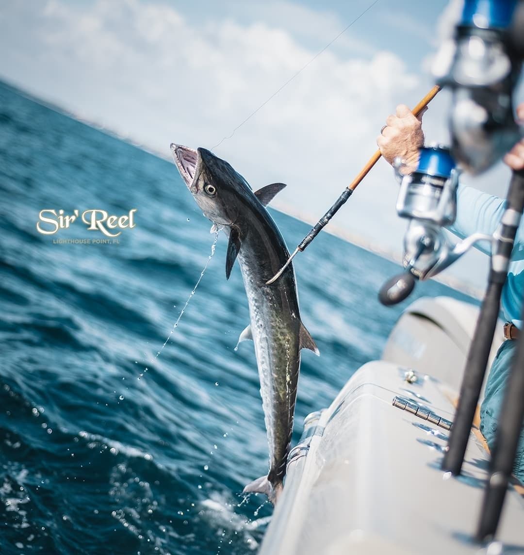 Angler lifts a large fish from the ocean onto a fishing boat with a rod and reel under a clear blue sky
