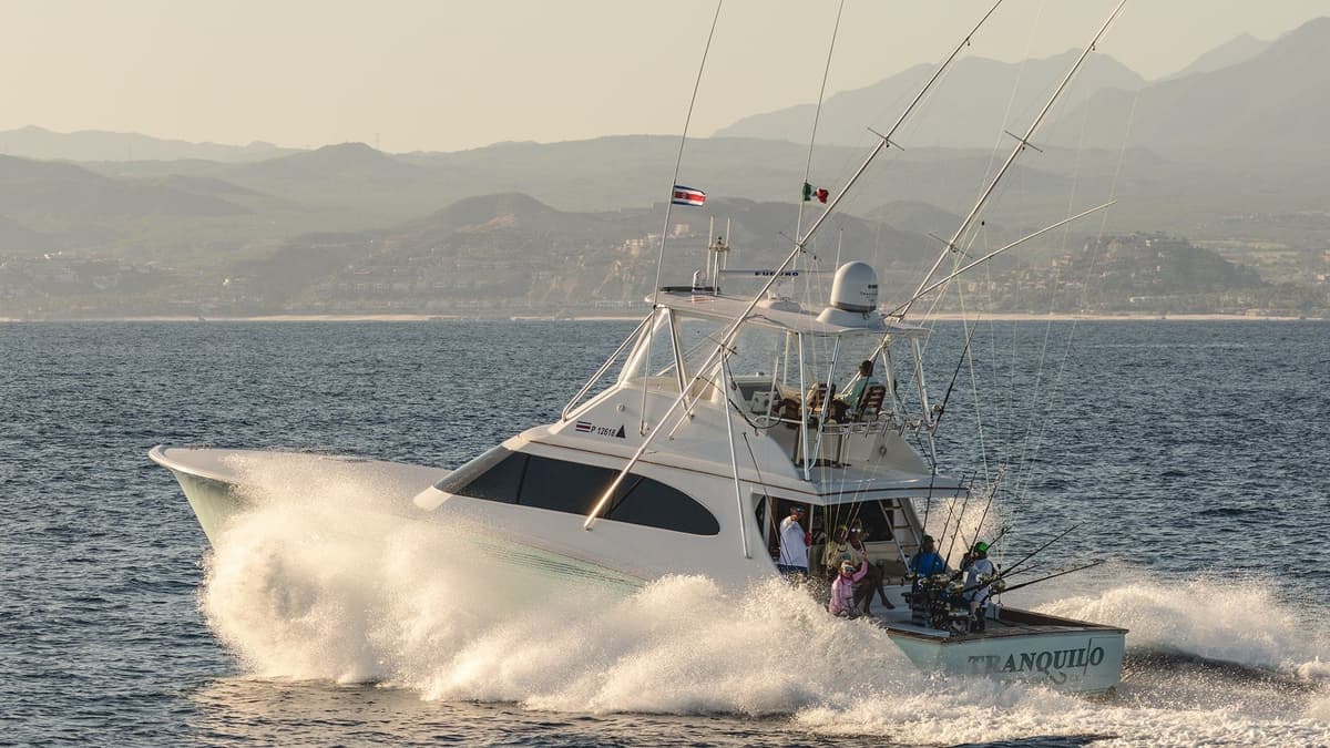 Sportfishing boat cruising with fishing rods, aerials, and flags against an ocean and distant mountains
