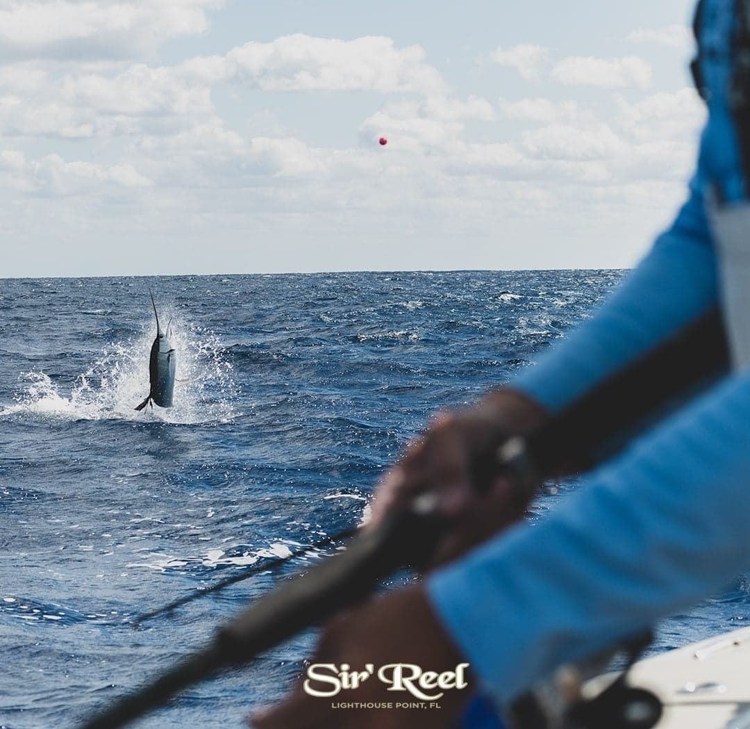 A sailfish leaping from the ocean with a fisherman in the foreground capturing the thrill of sportfishing
