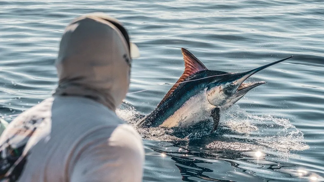 Fishing Pictures