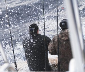 Backing Down Sailfish