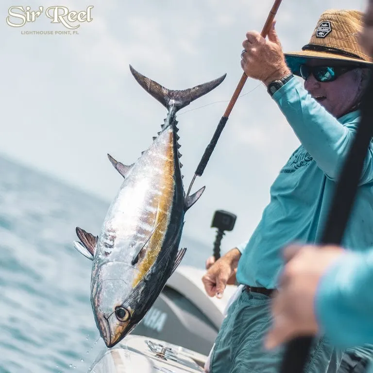 Blackfin Tuna Catch In Florida