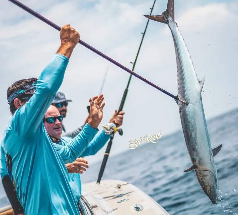Fisherman Gaffing Big Kingfish in Saltwater Fishing Tournament