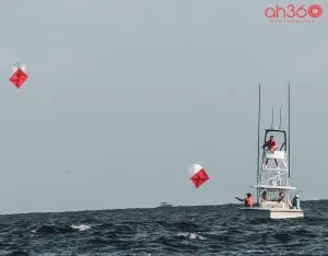 Kite-Fishing-In-Florida