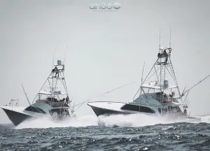 Sport Fishing Yachts In Fishing Tournament