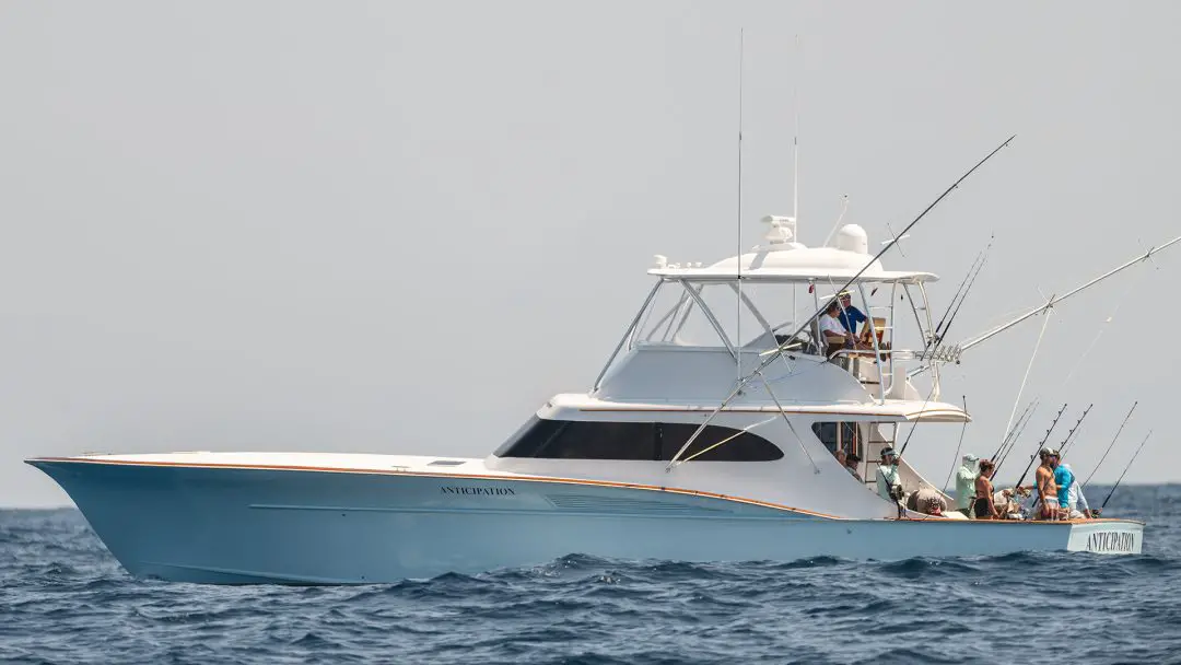 Custom Carolina Sportfish in 2019 White Marlin Open