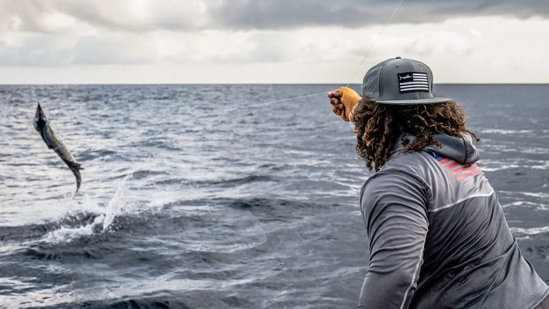 Jumping Sailfish